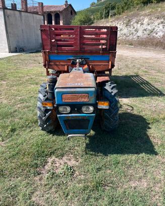 Pasquali 959