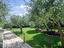 Immagine 18