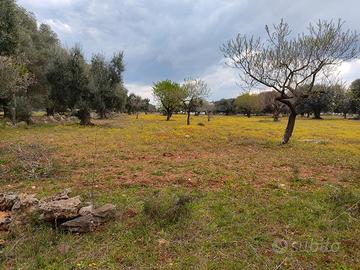 Terreno agricolo zona