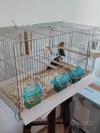 Inseparabili