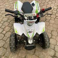 Quad 50