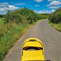 Navicella Cybex Platinum