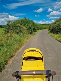 Navicella Cybex Platinum