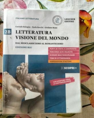 LETTERATURA VISIONE DEL MONDO V.2B - 9788858329733