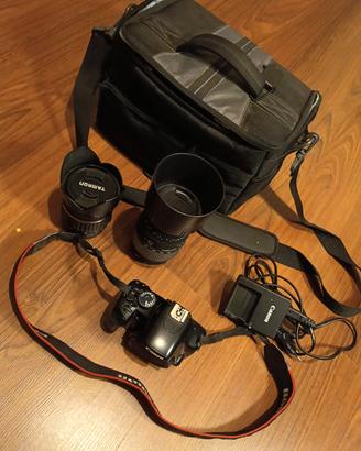 Canon EOS 450D + Sigma 70-300 + Tamron 17-70