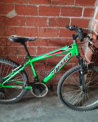 bicicletta