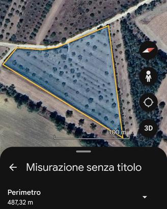 Olivetto un ettaro