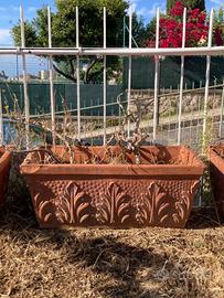 Vasi in terracotta