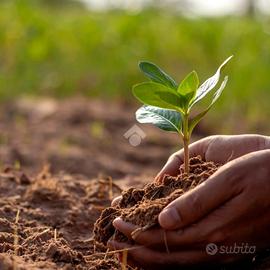 TER. RESIDENZIALE A CASTELVETRANO