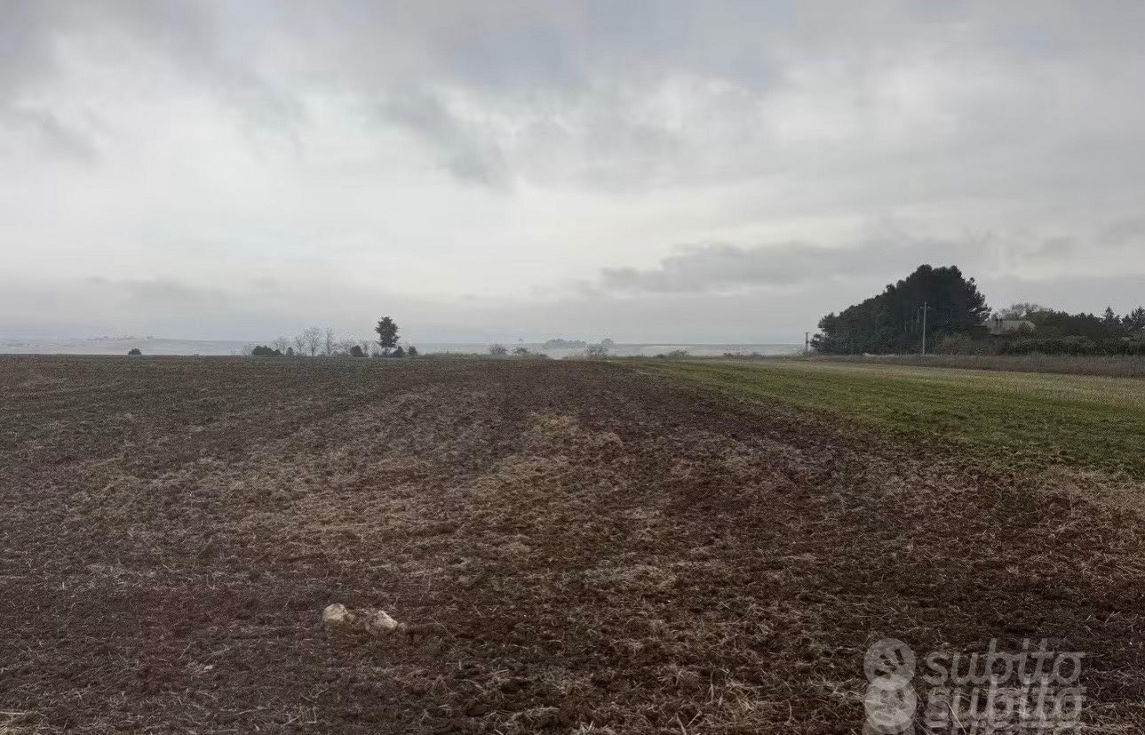 Terreno con pozzo (edificabile) - Vista 3