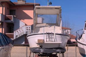 Pilotina Semicabinata