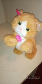 Daisy, la gattina che gioca con te