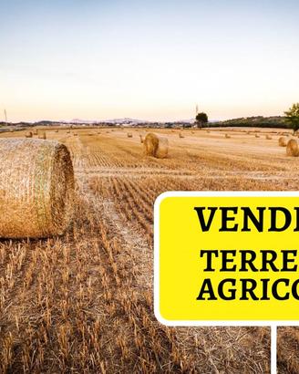Rif.G121| terreno agricolo chioggia