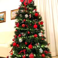albero di Natale altezza  210 cm