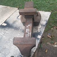 morsa da banco