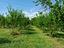 Immagine 26
