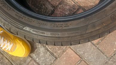 gomme estive