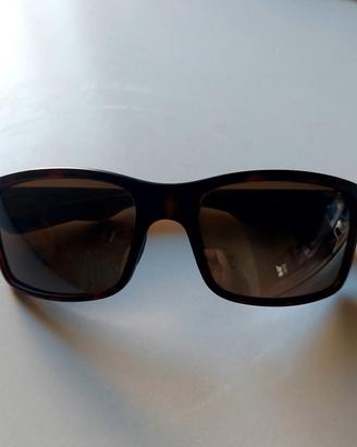 Occhiali da sole Revo Polaris RE 3001 tartarugati