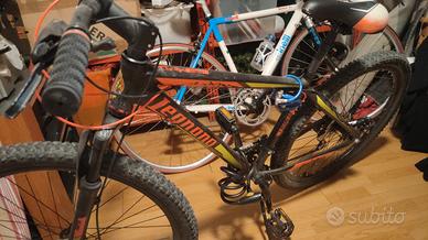 bicicletta Mountain bike 