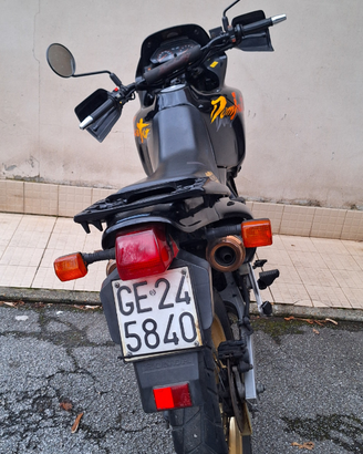 Honda dominator