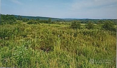 Giacalone, caculla - terreno 2000 mq