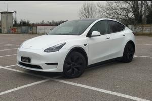 Tesla Model Y Standard Range / Standard #9113