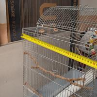 gabbia  per uccelli/ uccelliera