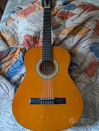 chitarra