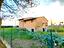Immagine 11