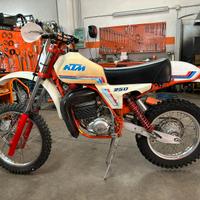 Ktm gs 250 81