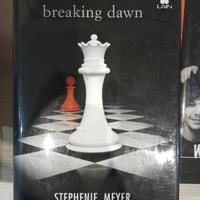 breaking dawn romanzo