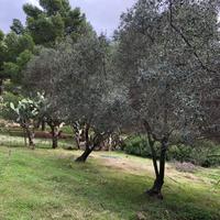 Terreno turistico-alberghiero