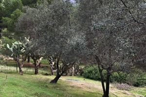 Terreno turistico-alberghiero