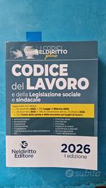 Codice del lavoro 2026 NLD