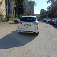 Ford Kuga 2'0 diesel Ecoblue Hybrid 150 cv nuova