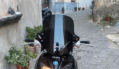 cupolino liberty sport 2006/2009