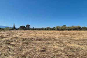 Terreno agricolo a Fenosu