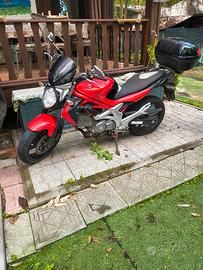 Suzuki Gladius 650