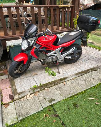 Suzuki Gladius 650