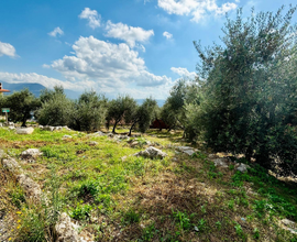 Terreno agricolo, edificabile