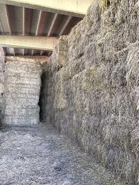 Fieno di maggengo e paglia