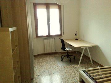 Camera Singola per studentessa non fumatrice
