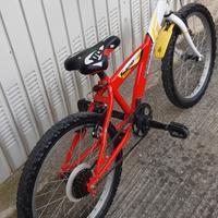 bicicletta da bambino 