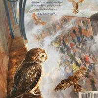 Libro illustrato harry potter ediz. Inglese