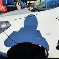 DACIA LODGY 2015 - PARAFANGO SINISTRO