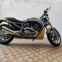 Moto Harley vrscr street rod