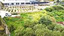 ter-agricolo-a-bordighera