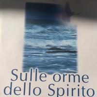 Sulle orme dello Spirito 