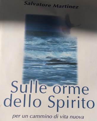 Sulle orme dello Spirito 