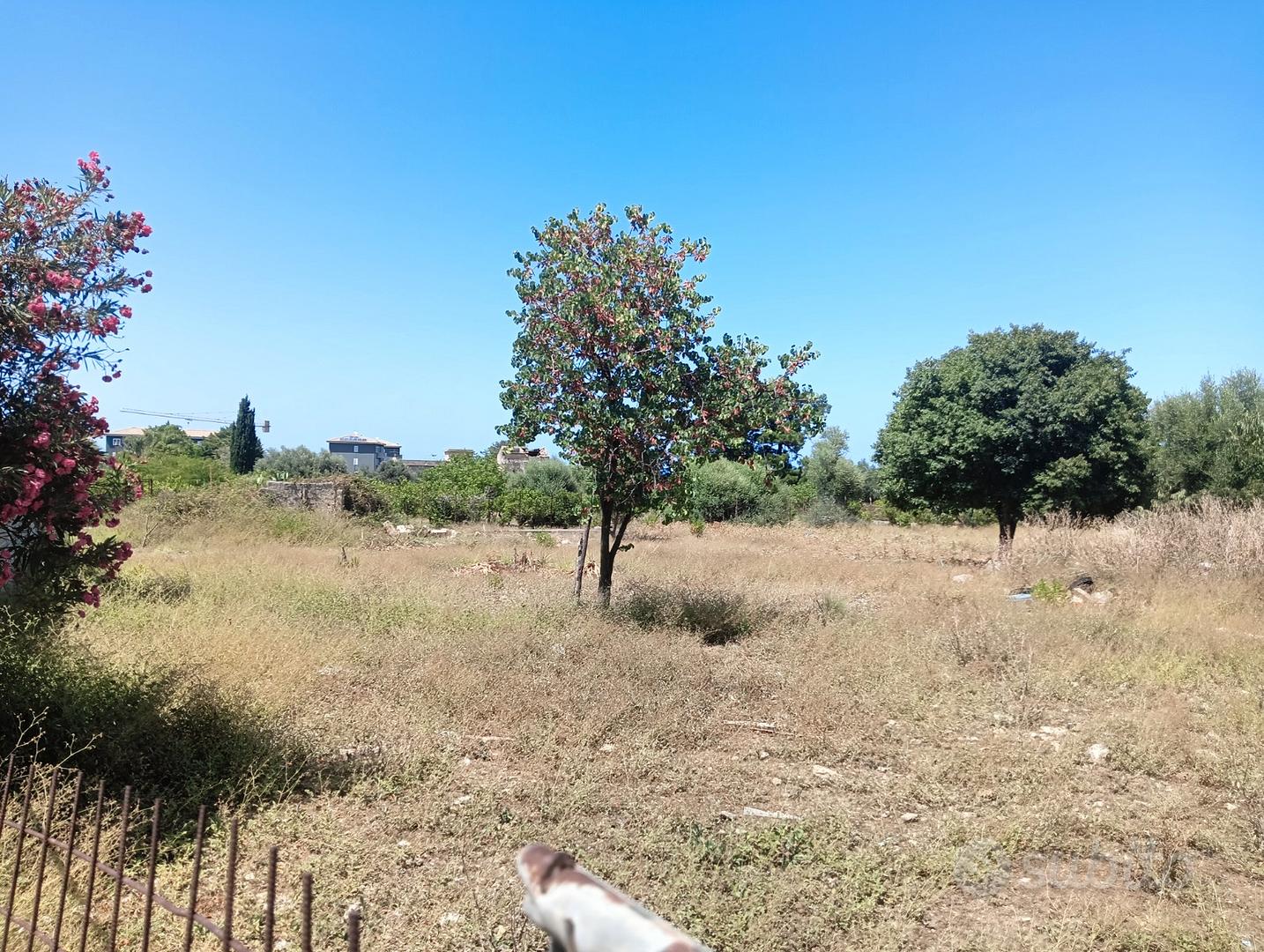 2000 mq di terreno edificabile C1 - Vista 2